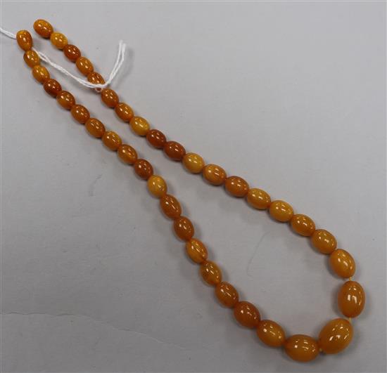 A single strand graduated oval amber bead necklace, gross weight 12 grams, 37.5cm.